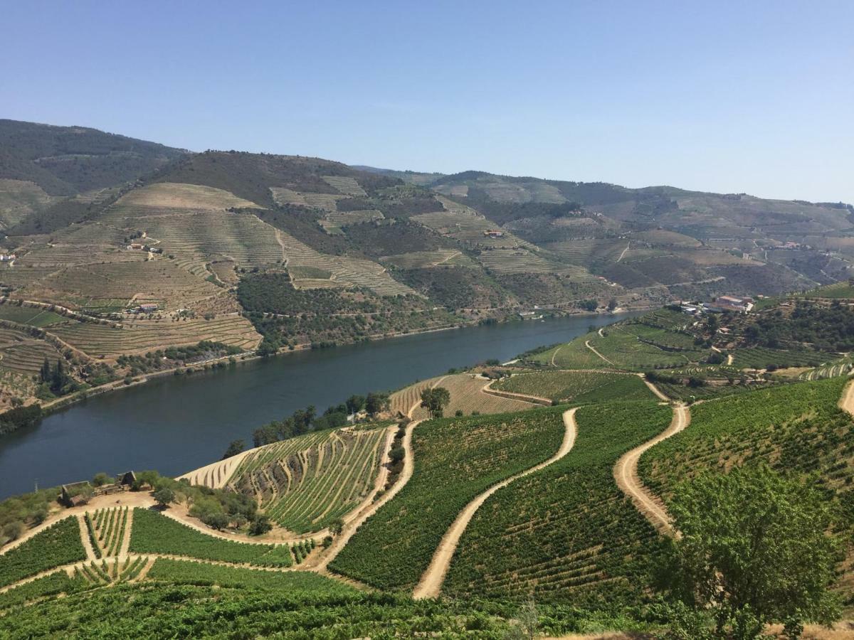 Refugio D'Anita Douro Valley House Barcos 외부 사진